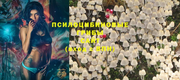 apvp Козельск