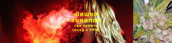 apvp Козельск