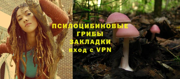 a pvp Козловка
