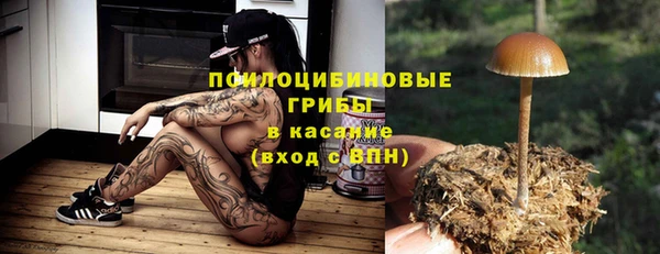 apvp Козельск