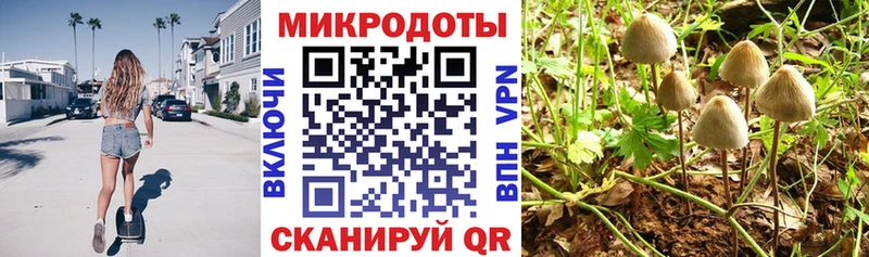 Купить где  Аксай  Псилоцибиновые грибы прущие грибы 